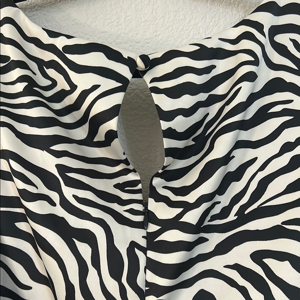 Zebra Print Sleeveless Dress - Picture 7 of 7